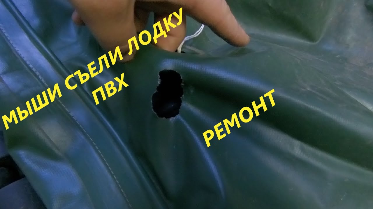 Мыши съели лодку ПВХ КОРСАР 270