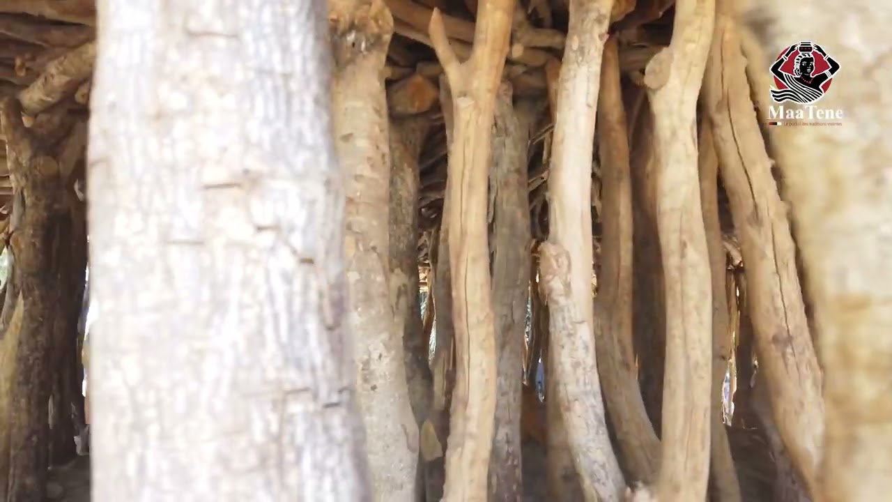 HANGAR ROYAL DE TENKODOGO - SYMBOLE DU POUVOIR ET LIEU DE DIALOGUE