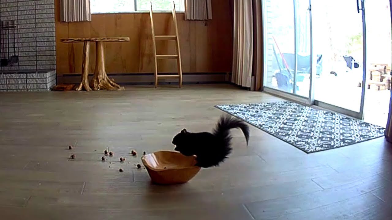 Who Spilled the Beans?