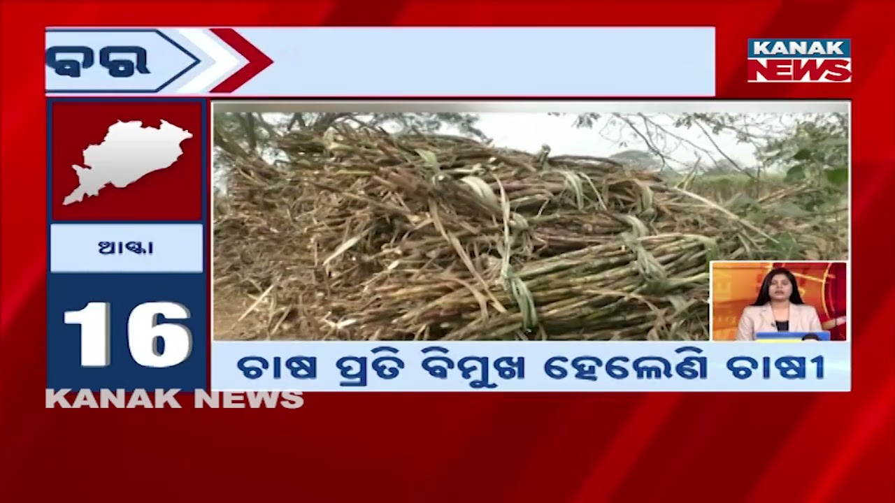 Speed News - Sara Odisha: 3rd February 2026 | Kanak News Live