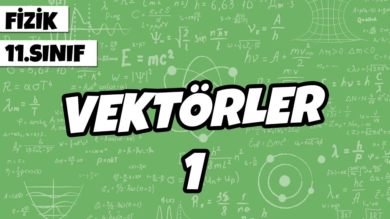 11.Sınıf Fizik - Vektörler -1 | 2022