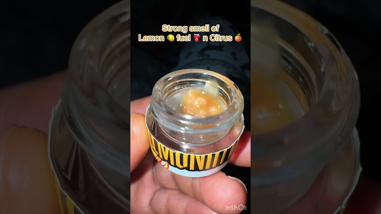 Shop Hello Mary Lemonatti Live Rosin🫠🍋