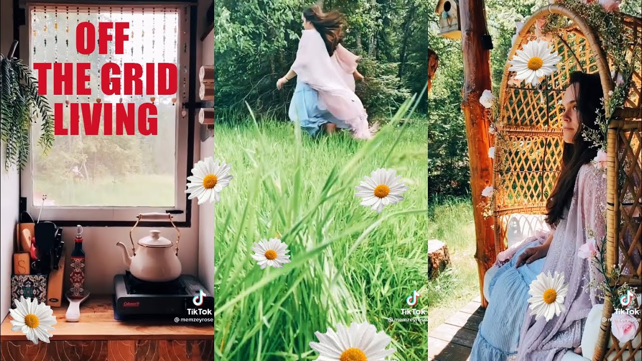Alternatives ✨Living Off The Grid ✨ Beautiful Sustainable Lifestyle TikTok Compilation