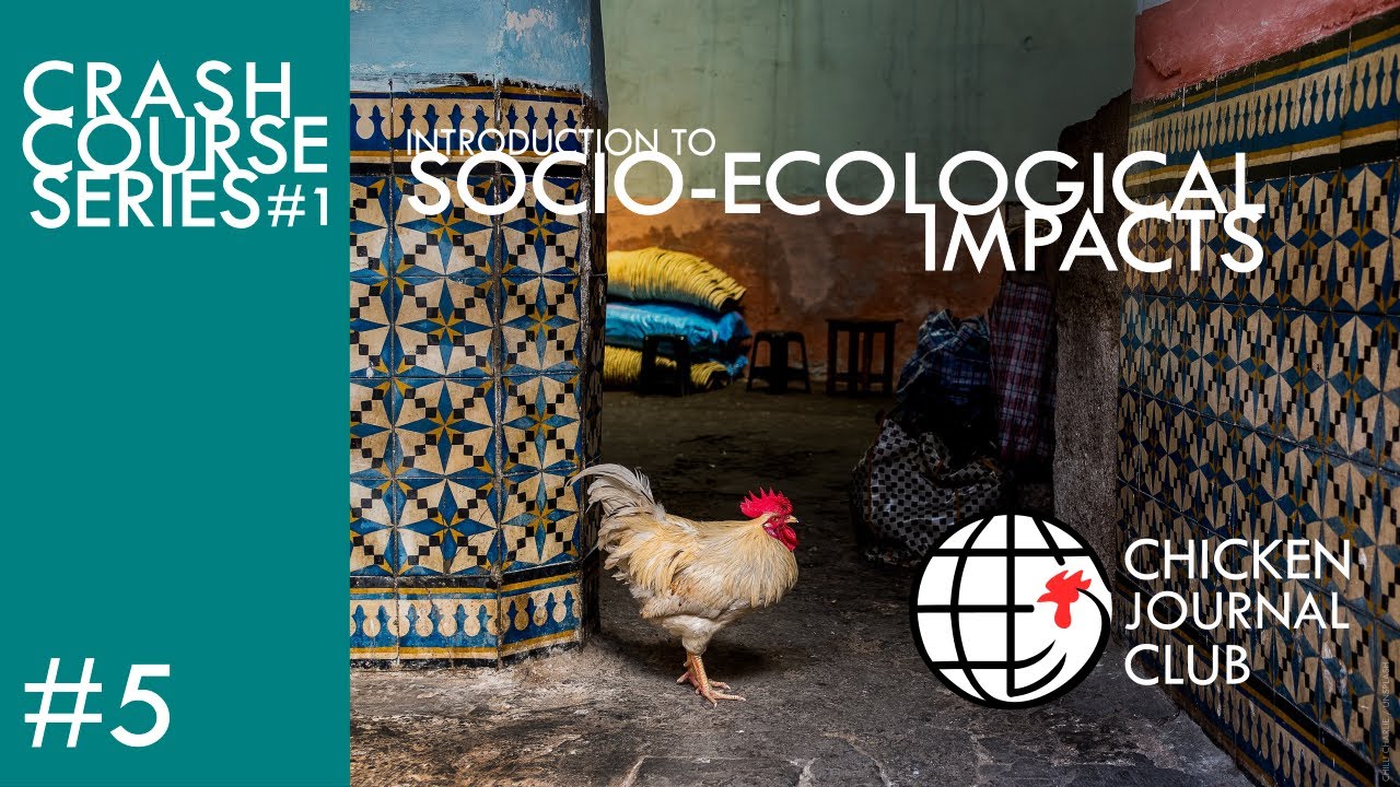 No.5 Introduction to Social-ecological Impacts!