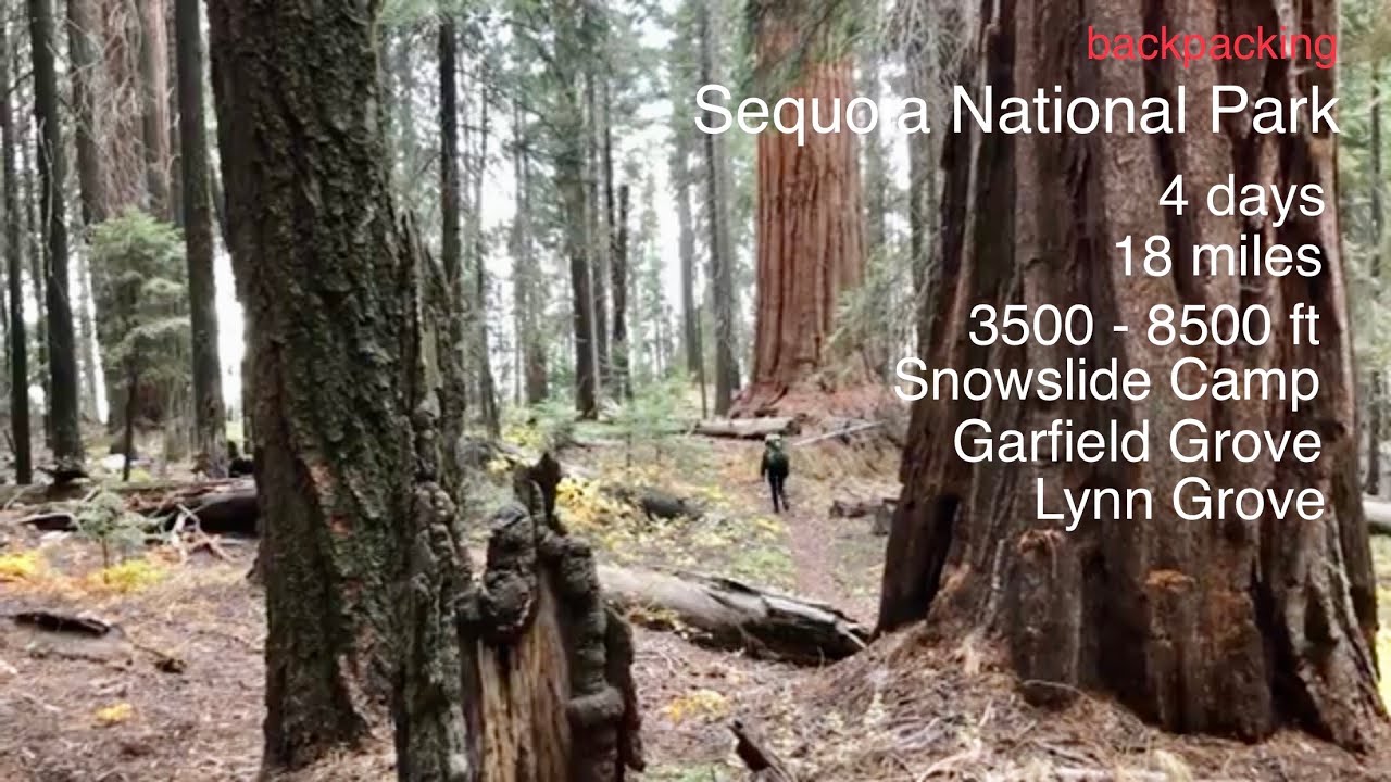 Sequoia National Park backpacking