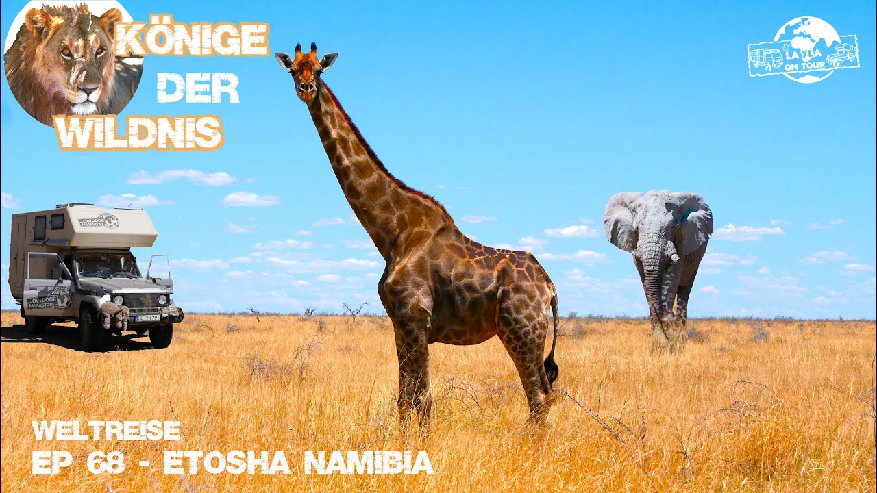 ETOSHA - SAFARI DER SUPERLATIVE! Das haben wir nicht erwartet. Namibia | Overlanding Afrika l EP68