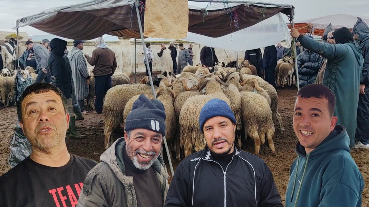 من #الناظور .. سوق #بني_وكيل عودة امطار 🌧️🌧️ الخير و الفلاحين يستبشرون خيرا 😍😍