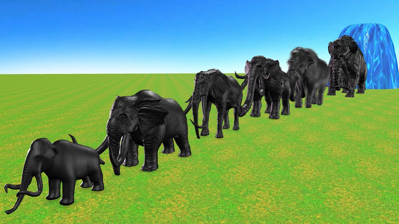 Paint Animals Elephant Woolly Mammoth Size Comparison Fountain Crossing Animal Transformtion Cartoon