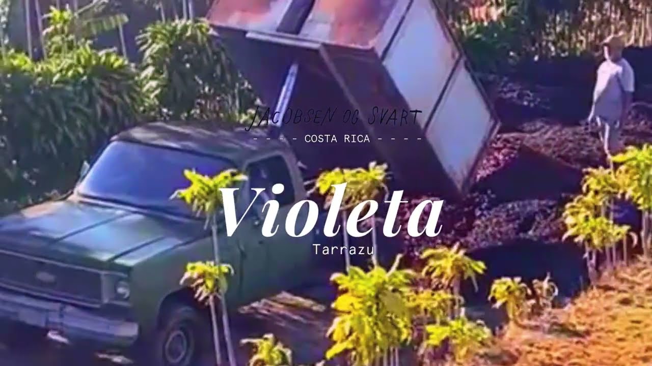 Jacobsen og Svart Presents La Violeta, Tarrazu, Costa Rica.