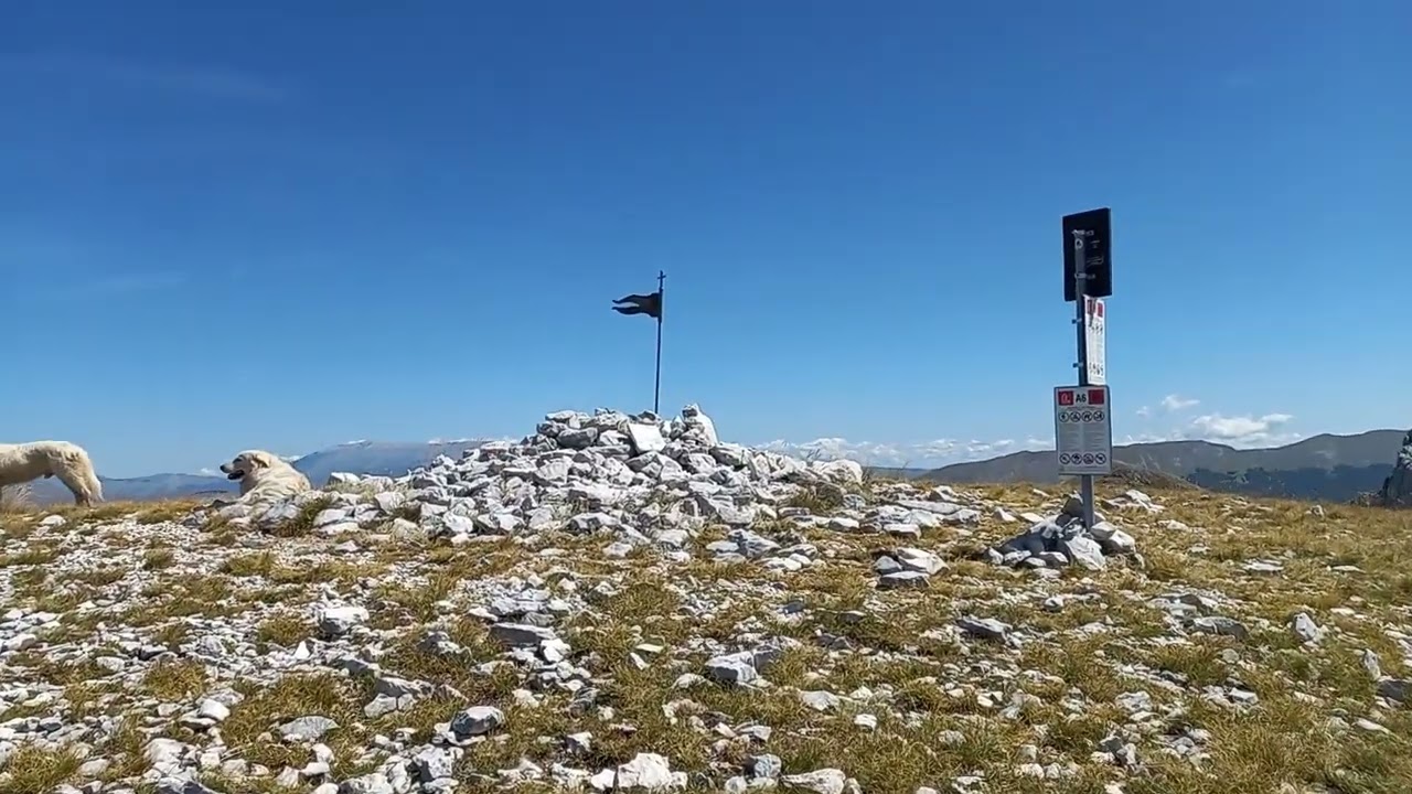 08-08-2023. VIDEO della escursione al Monte Marsicano (2245 mt) nel PNALM, presso Opi (AQ).