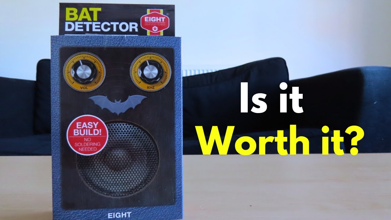 Проверка детектора летучих мышей стоимостью 20 фунтов стерлингов.