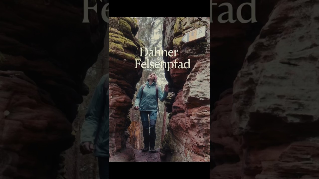 Vier Highlights im Dahner Felsenland