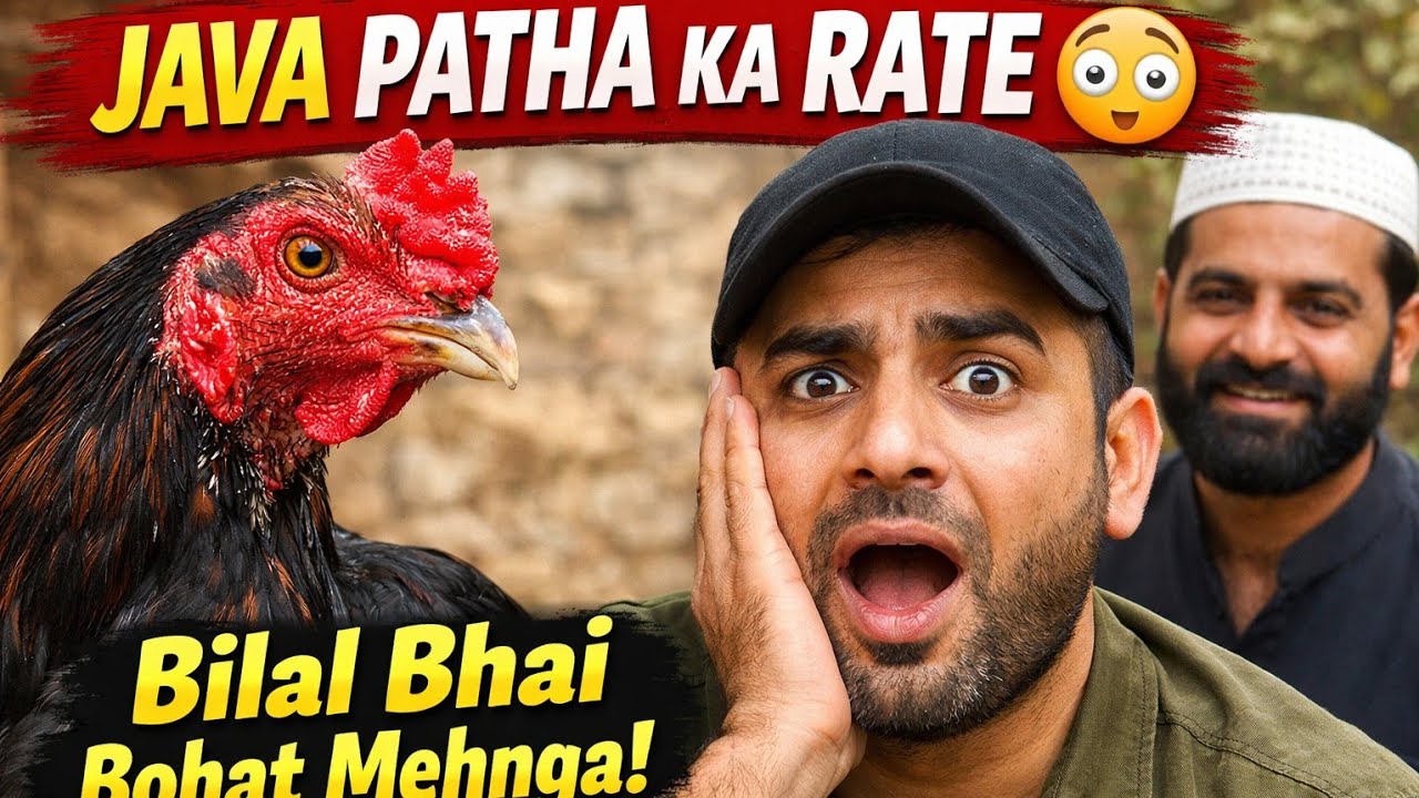 Java Patha Ka Rate Sun Kar Hosh Urr Gaye 😅 | Bilal Bhai Se Gup Shup