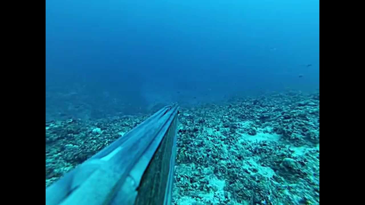 Sonar Testing Pings Diver