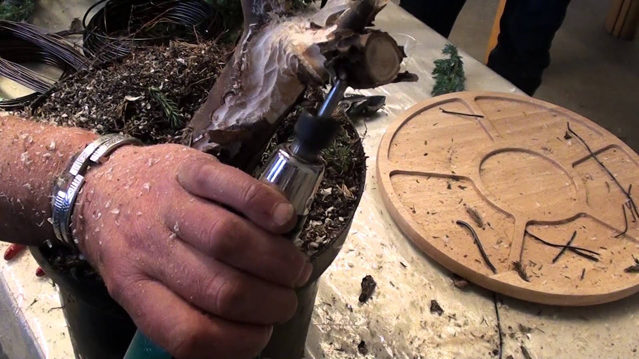 Kevin Wilson Workshop Danish Bonsai Club April 2014