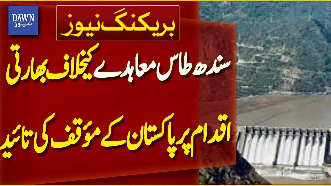 Pakistan's Stance on Indian Move Against Indus Waters Treaty Supported  | Breaking News | Dawn News