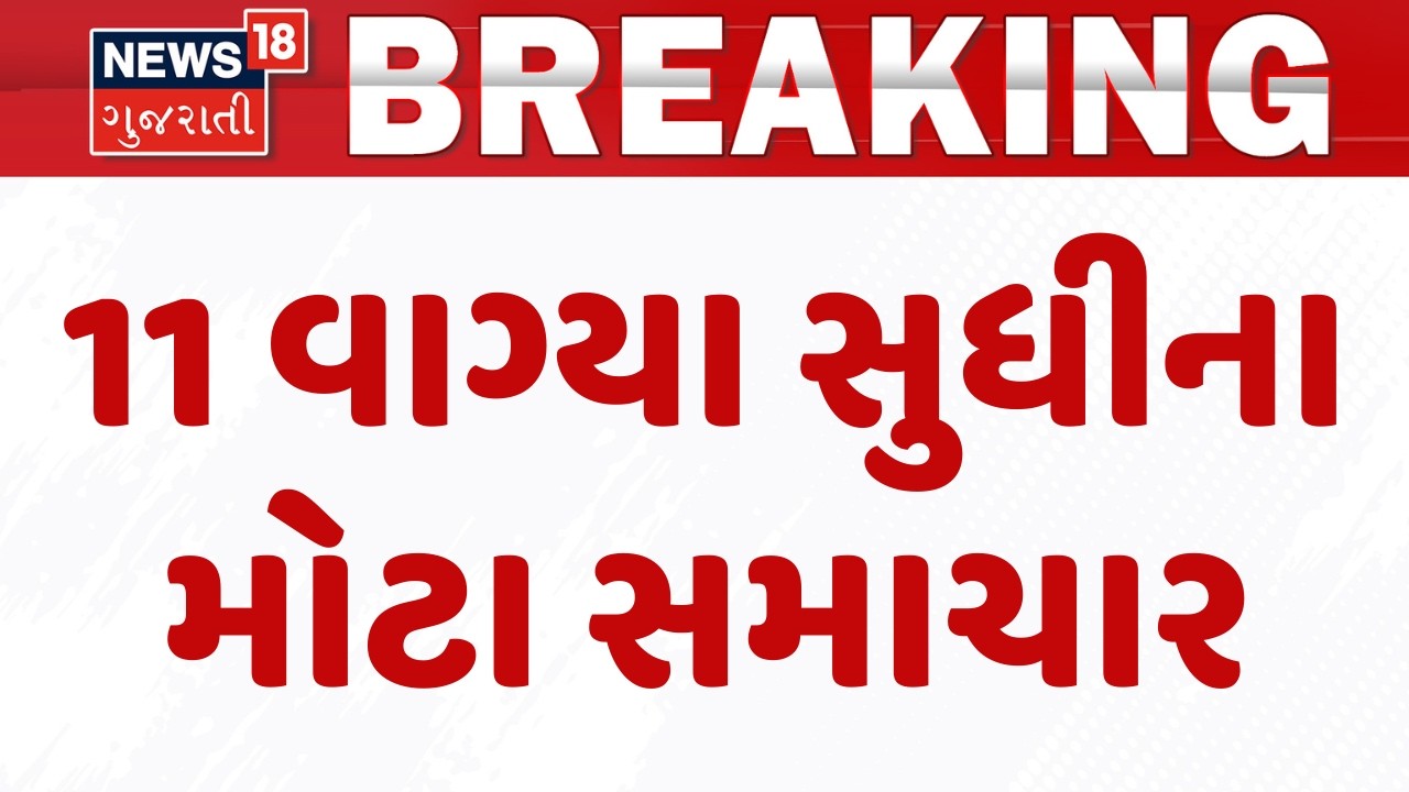 Gujarat Breaking News | 11 વાગ્યા સુધીના તમામ મહત્વના સમાચાર | Breaking News | News of The Day
