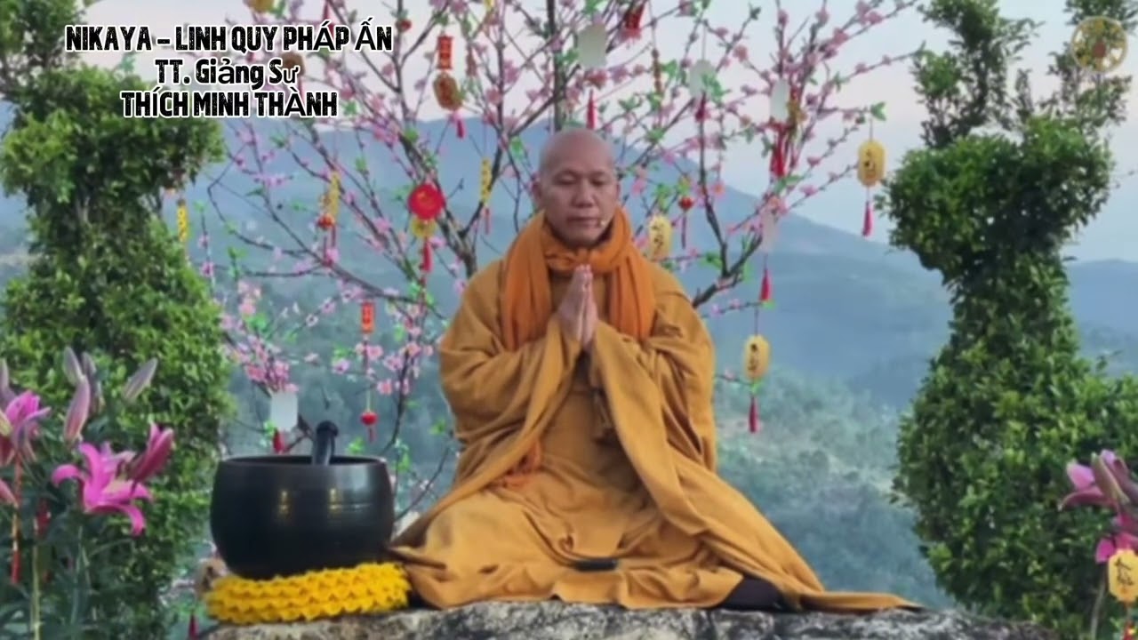 NIKAYA THIỀN QUÁN- Ngoài Thực Hành Pháp Ra!Tất Cả Là Vô Tình! #nikaya #linhquyphapan #thichminhthanh
