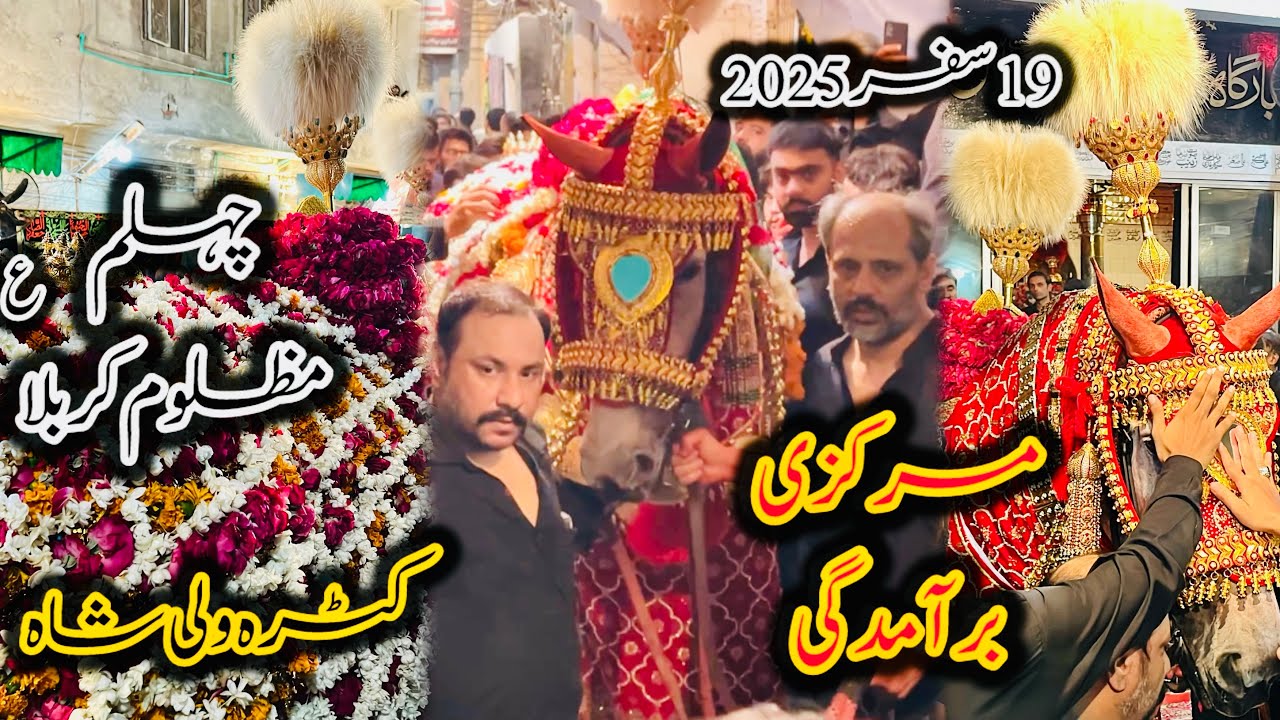 Chehlum Imam Hussain 19 Safar Markazi Baramdagi Zuljanah Katra Wali Shah Akbri Gate Lahore #foryou 