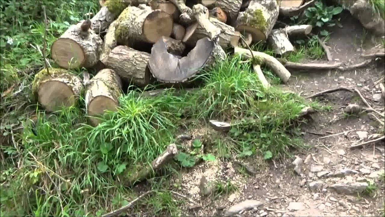 Priddy Barrows Visit, PART B, 'Swildon's Hole' by Sheila 9 11 2015