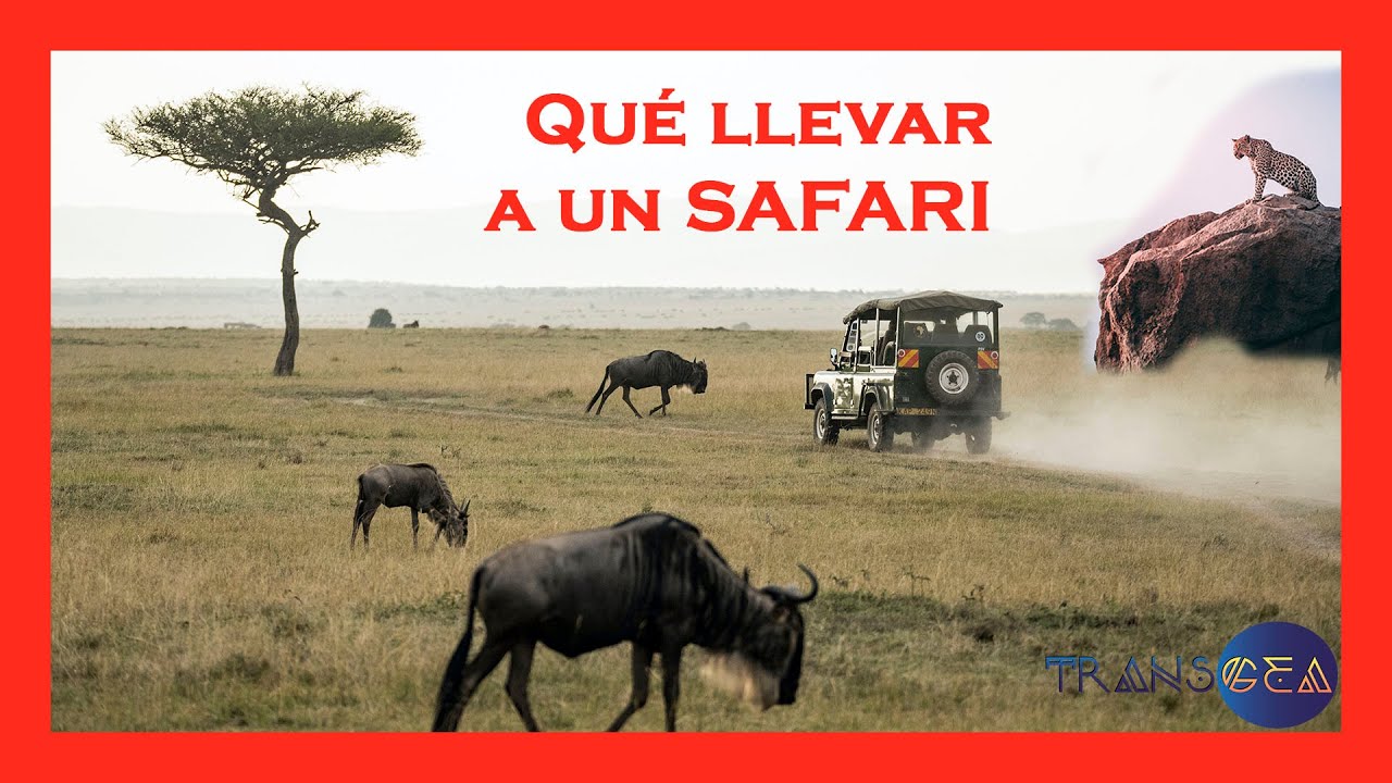 Qu&eacute; llevar a un safari