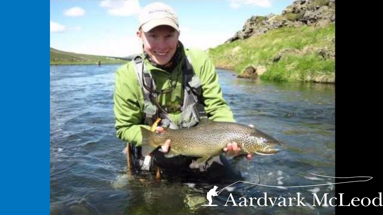 Midges & Mayhem, trout fishing in Iceland