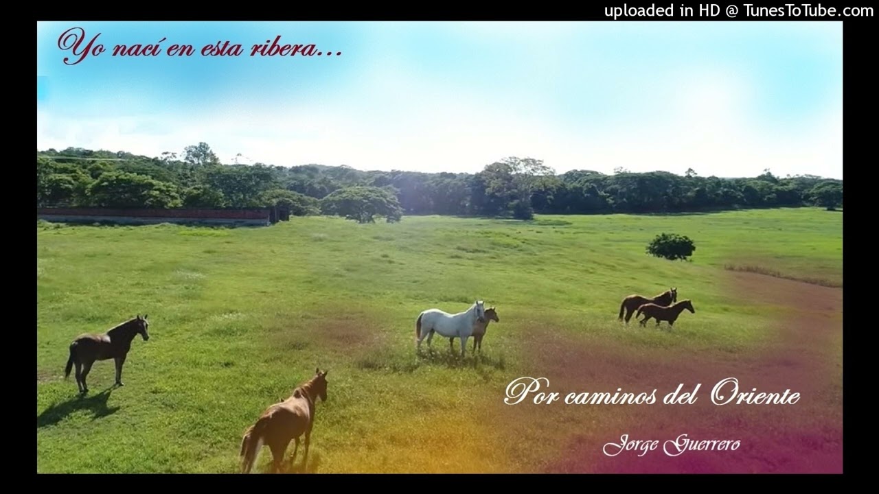 Por Caminos del Oriente - Jorge Guerrero.
