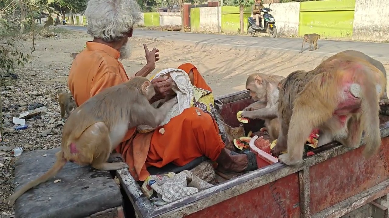Hnuman bhkti Tiwari ji se sikho
