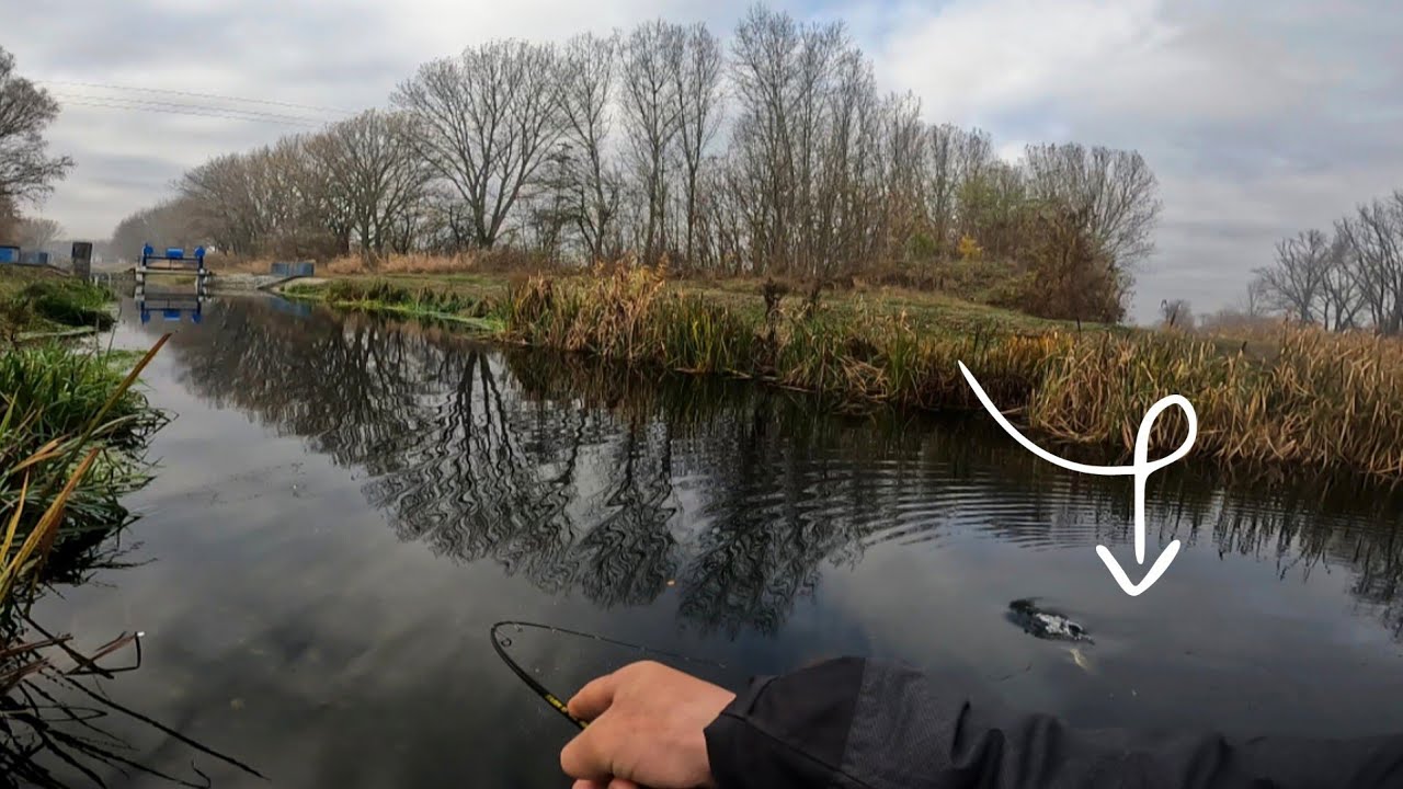 Kamera előtt támadt a csuka! 😮 Eredményes pergetés szép halakkal. 