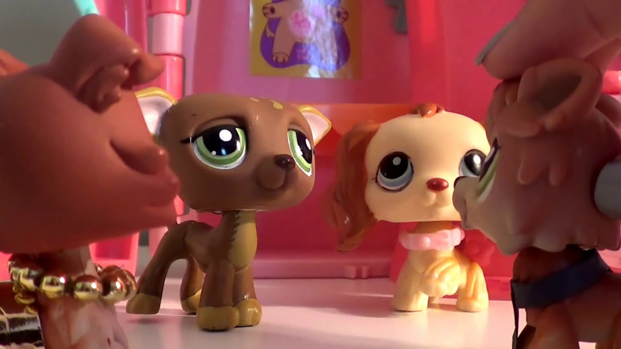 Collie Complications 5: Happy PunchGiving