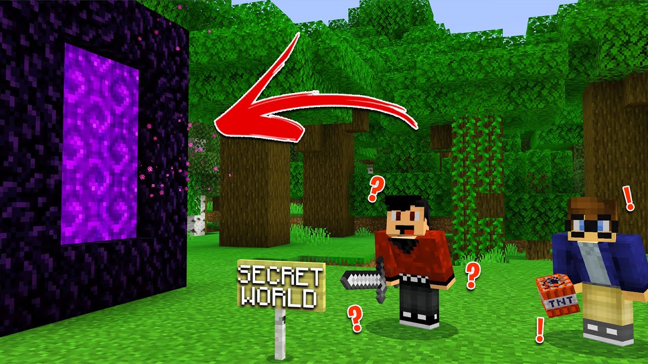RAGEELIXIR and I MADE a SECRET Minecraft World!