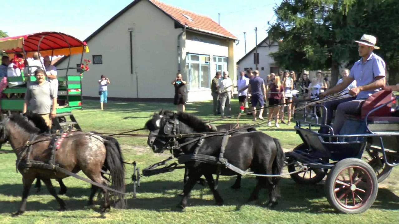 Parada zaprzęgów konnych podczas XXIII Dni Forraskut.