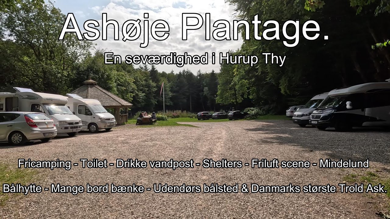 Vi fricamper i Ashøje plantage Hurup Thy.