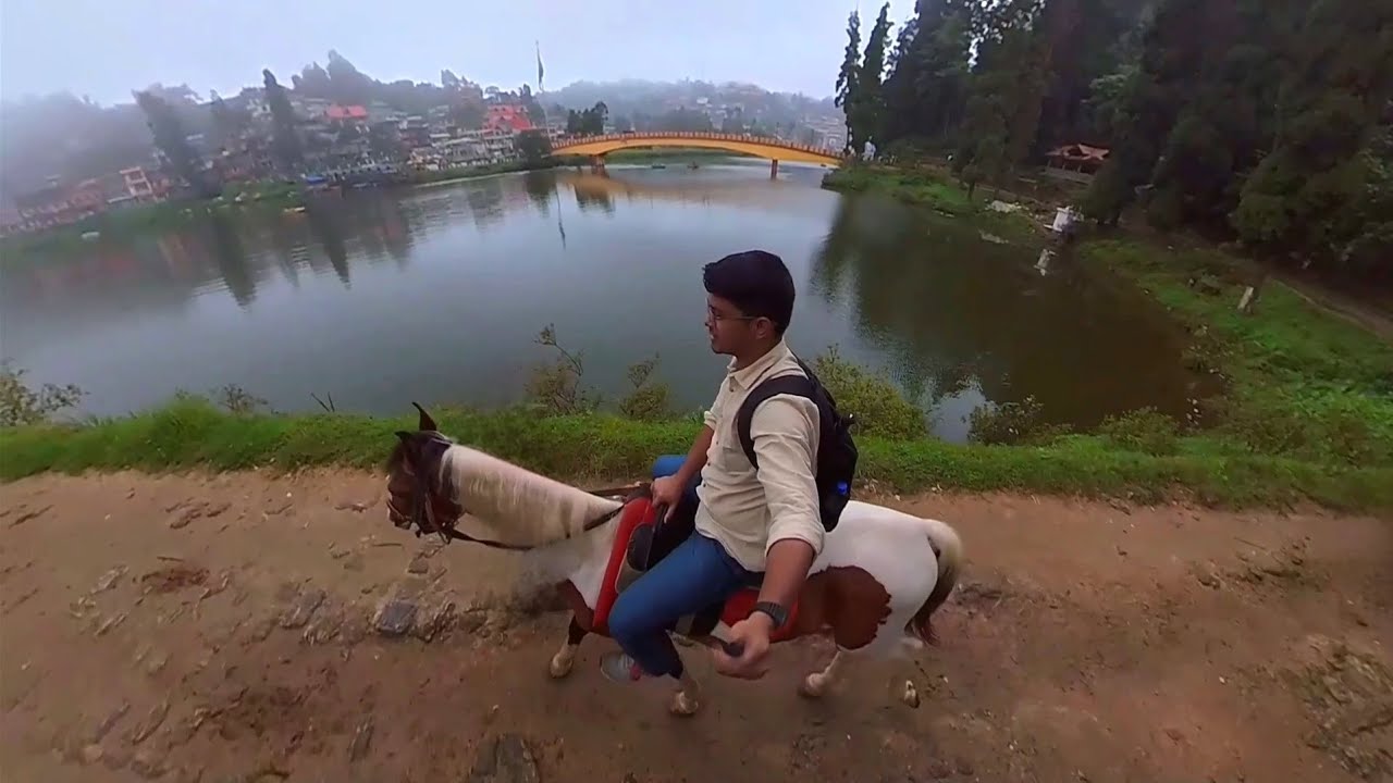 Darjeeling vlog || part 3  #darjeeling #vlog #assam 