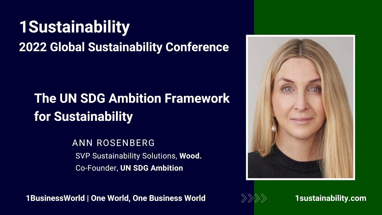 The UN SDG Ambition Framework for Sustainability | Ann Rosenberg