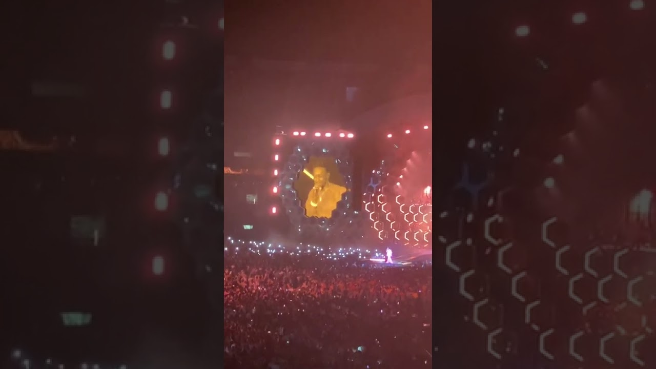 Reine - Dadju au parc des princes