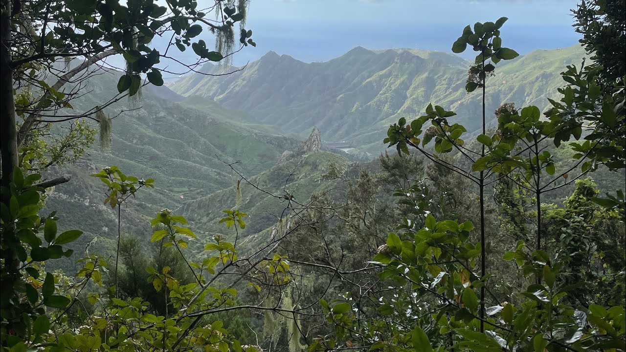 Szlak Monte Aguirre w g&oacute;rach Anaga na Teneryfie⛰🤩