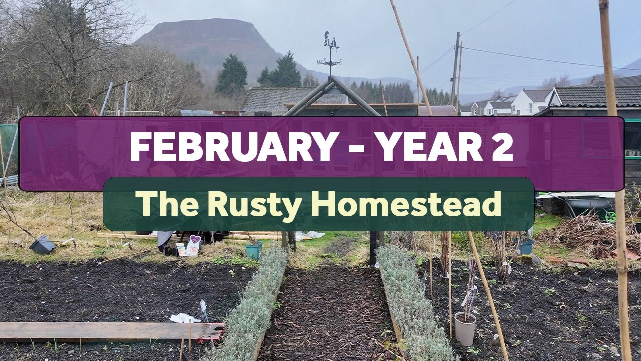 The Rusty Homestead in February, Year 2