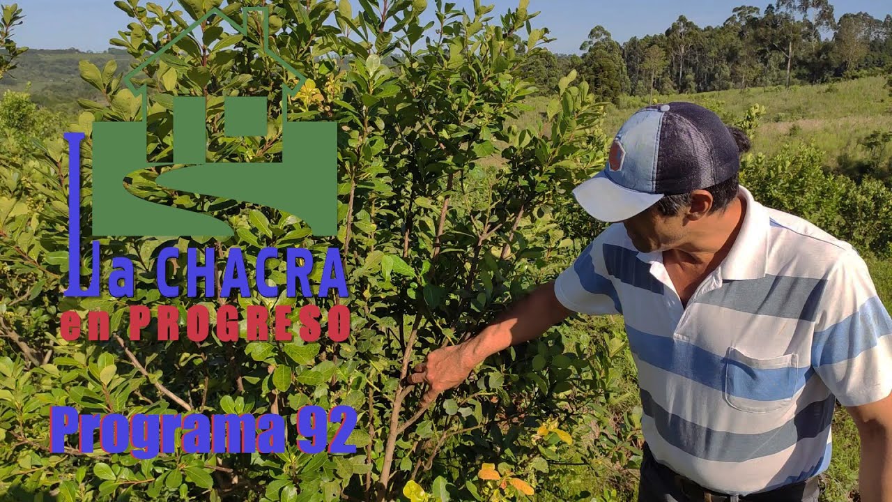 La Chacra en Progreso - Programa 92
