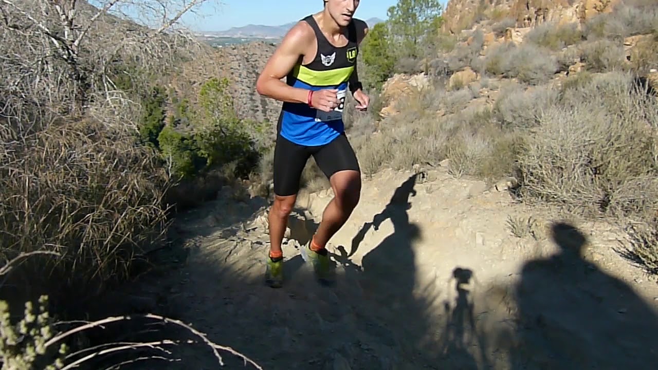 PREVIO ORIMUELA 2017