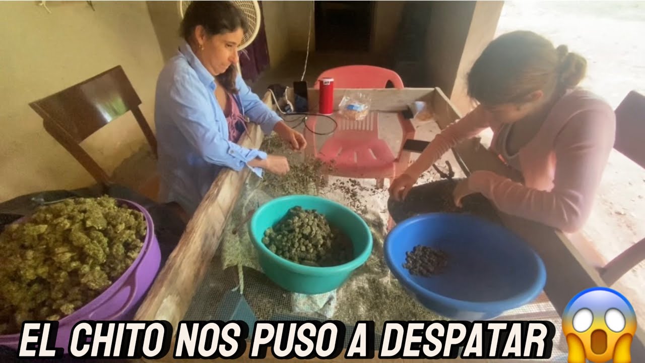 AS&Iacute; SE LIMPIA LA M0T4😱