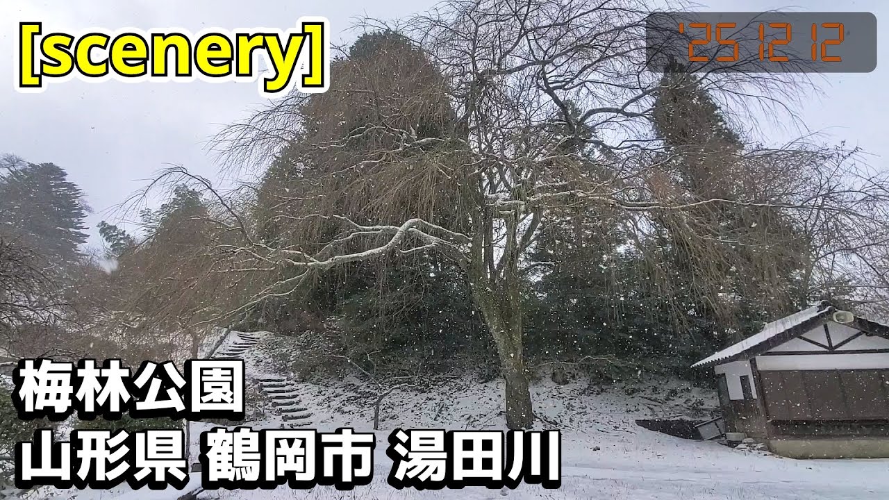 【公園の音景色】梅林公園,山形県鶴岡市湯田川【庄内の風景226】