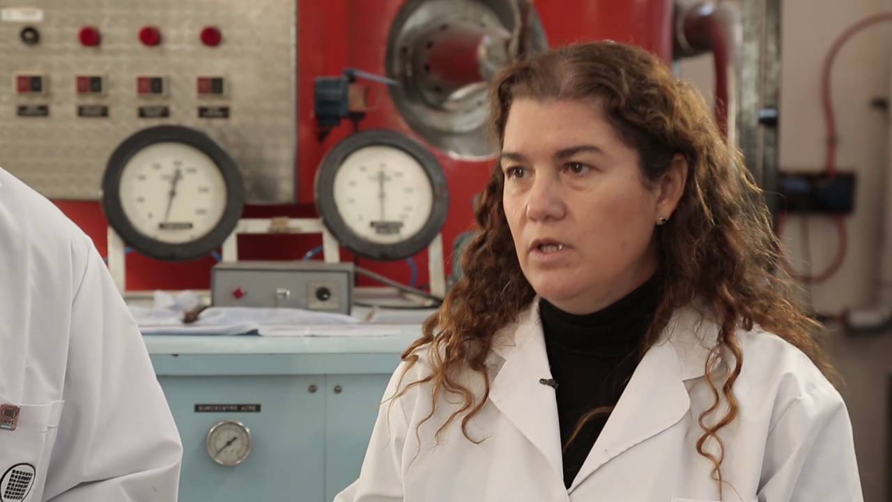 El INTI desarrolló colorantes naturales (2016)