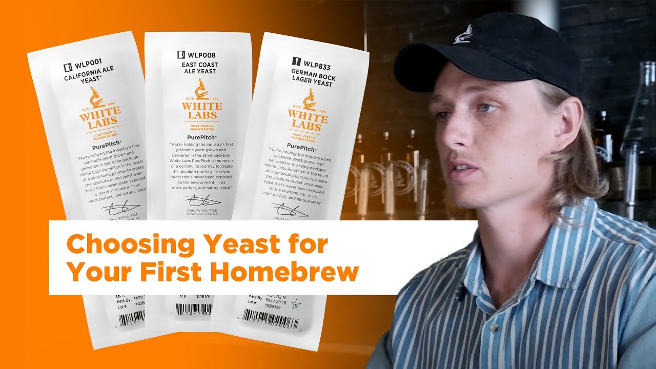 Choosing Yeast for Your First Homebrew - Tips from The Pitch