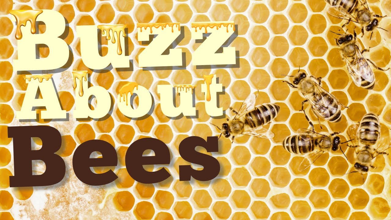 Bee-lieve It or Not: How Bees Keep Our World Blooming