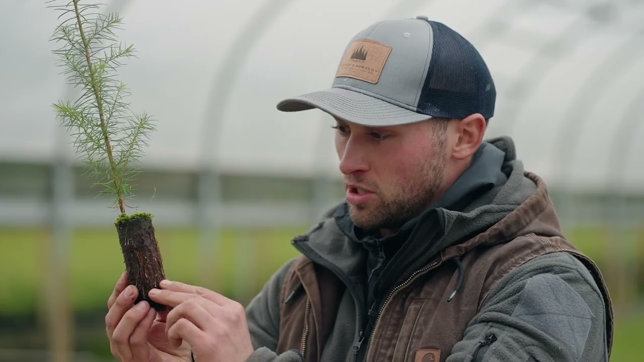 Kintigh Nursery - Forestry Seedling Root Improvements with AirTray & Ellepot