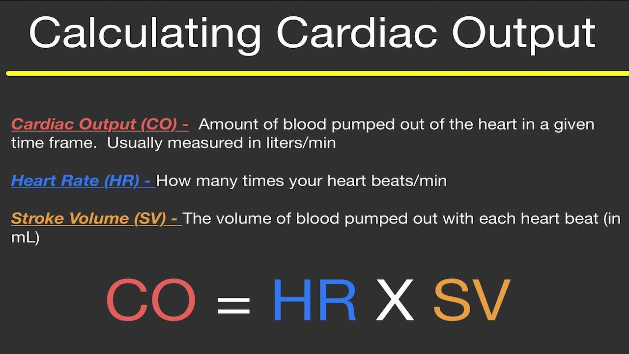 Physiology: CALCULATING CARDIAC OUTPUT, HEART RATE, and STROKE VOLUME! (Practice Problems!)