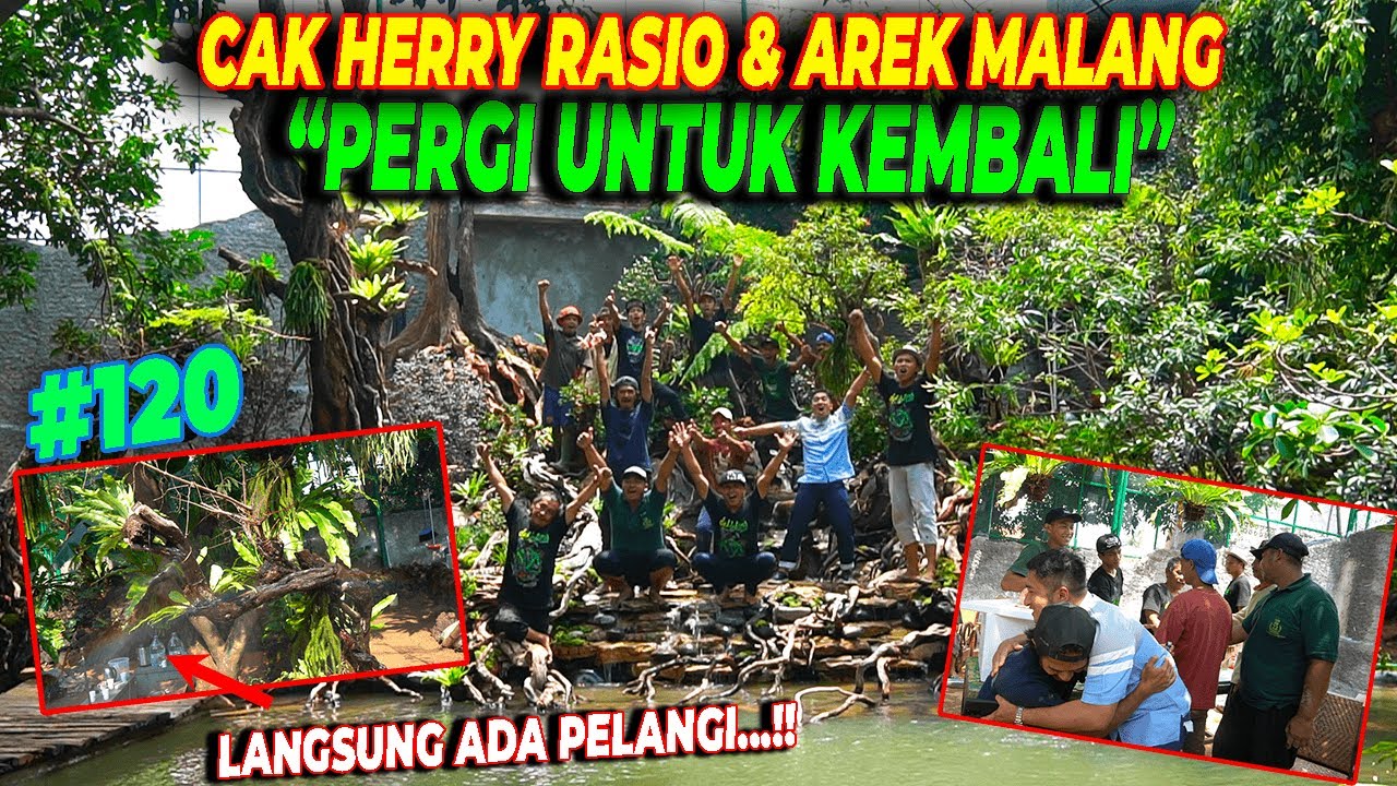 #EPS120 DEHAKIMS AVIARY | LIAT LANGSUNG PELANGI DI AVIARY, WAKTU KEPULANGAN CAK HERRY & AREK MALANG