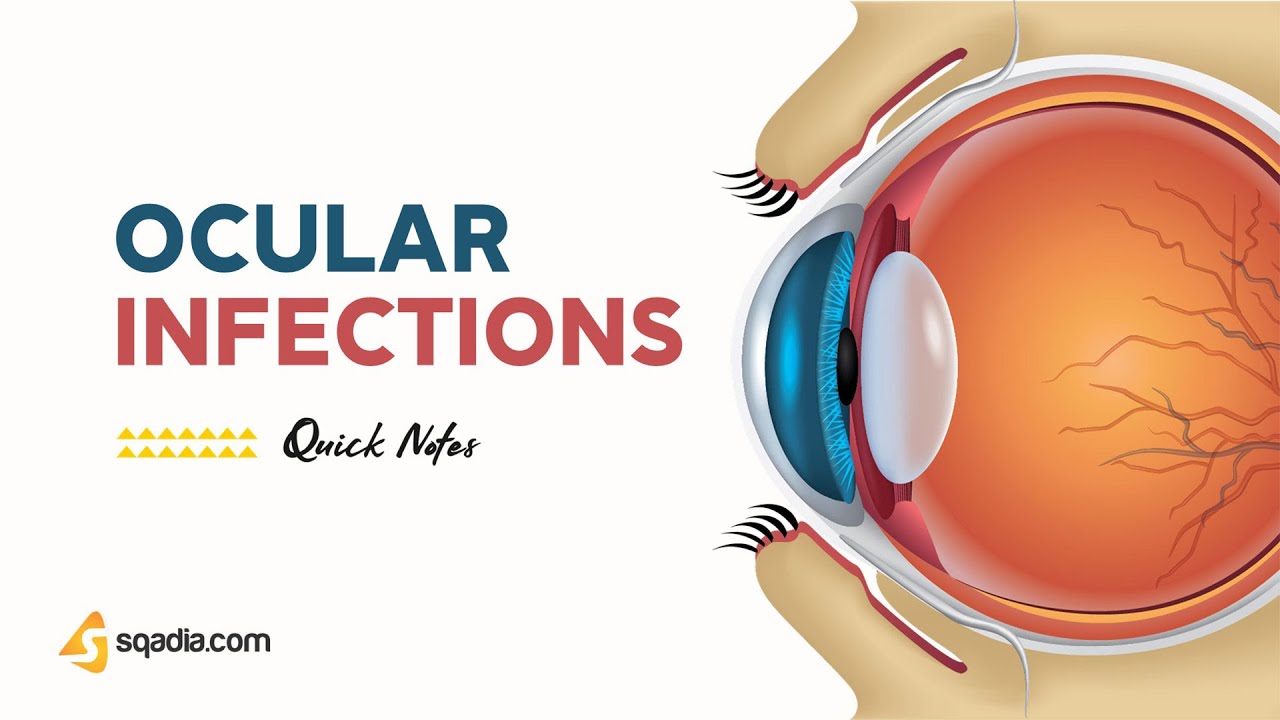 Ocular Infections | Introduction