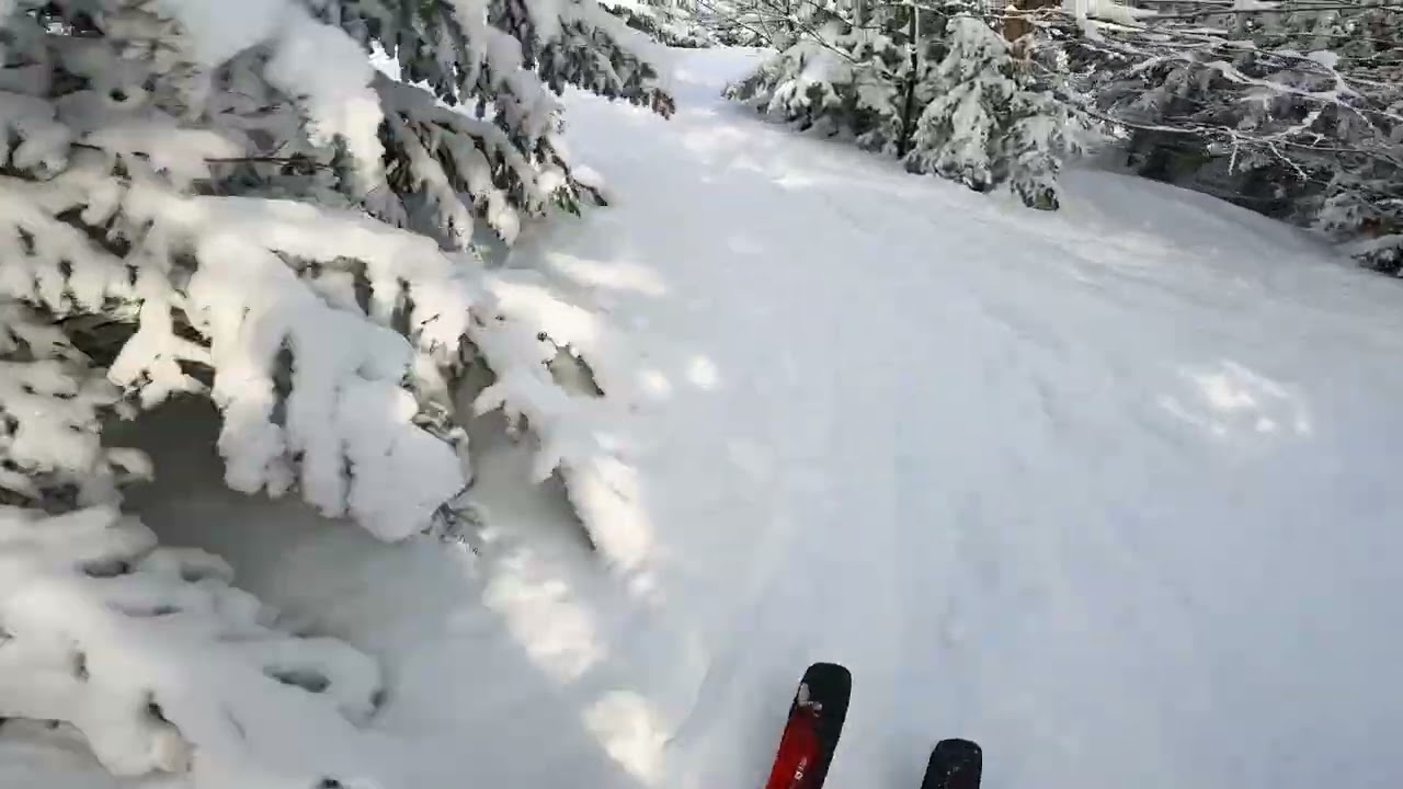 Bretton Woods Pow Day Leftovers